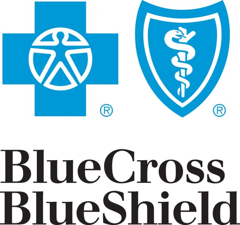 Blue Cross Blue Shield – National Performing Arts Funding Exchange